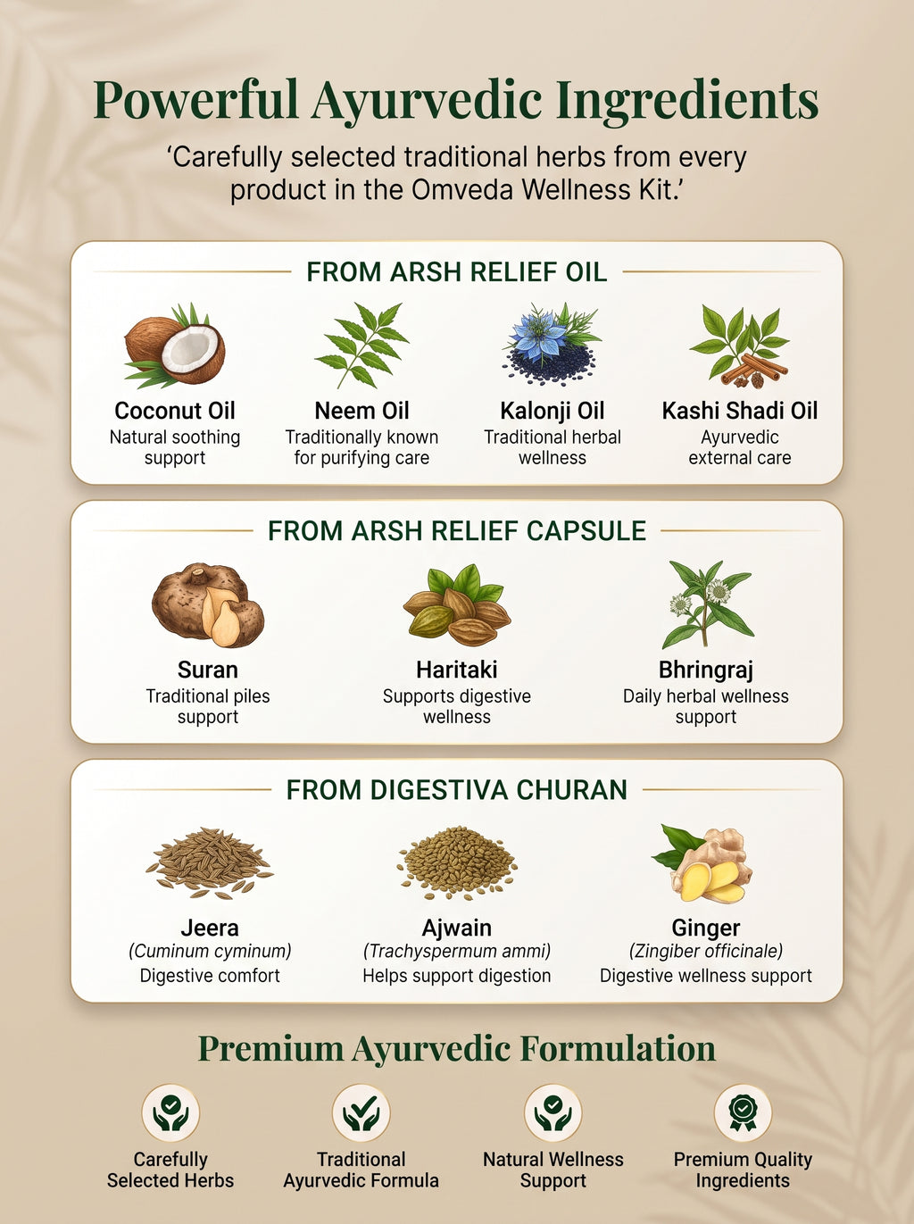 Omveda Complete Piles Care Kit – Ayurvedic Support for Piles Relief & Digestive Wellness