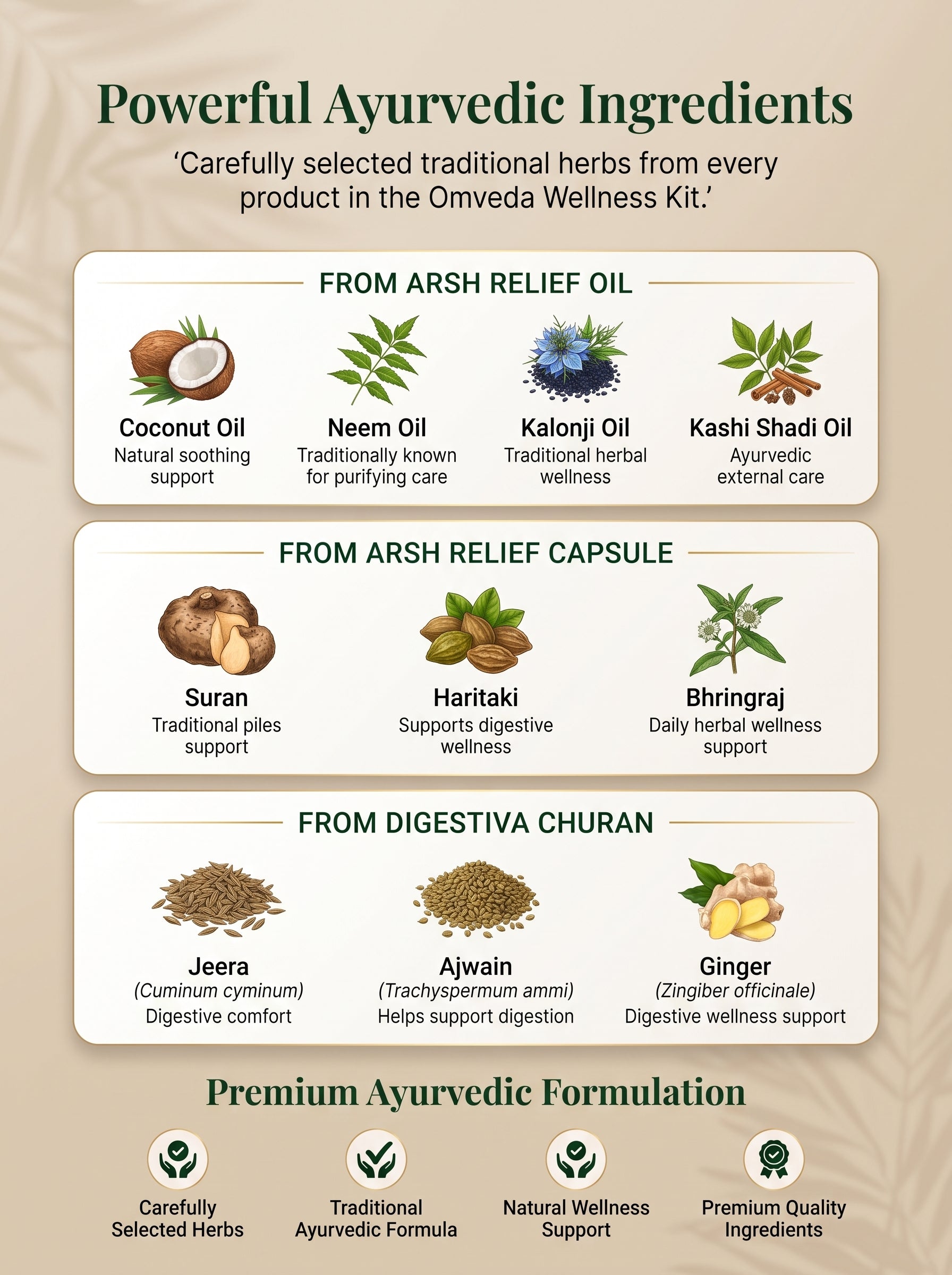 Omveda Complete Piles Care Kit – Ayurvedic Support for Piles Relief & Digestive Wellness